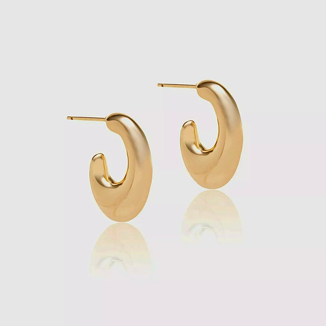 Plane hoop earrings