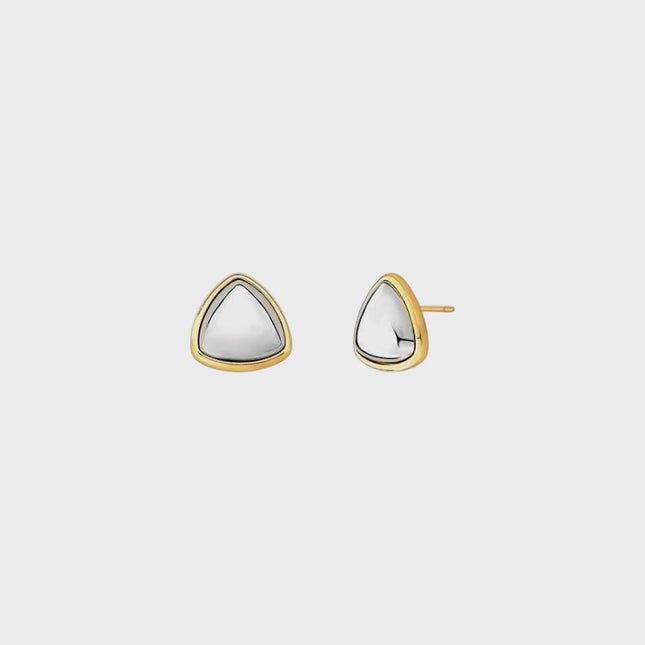 Duo color earrings
